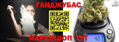 крисы Кулебаки