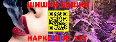 индика Кунгур