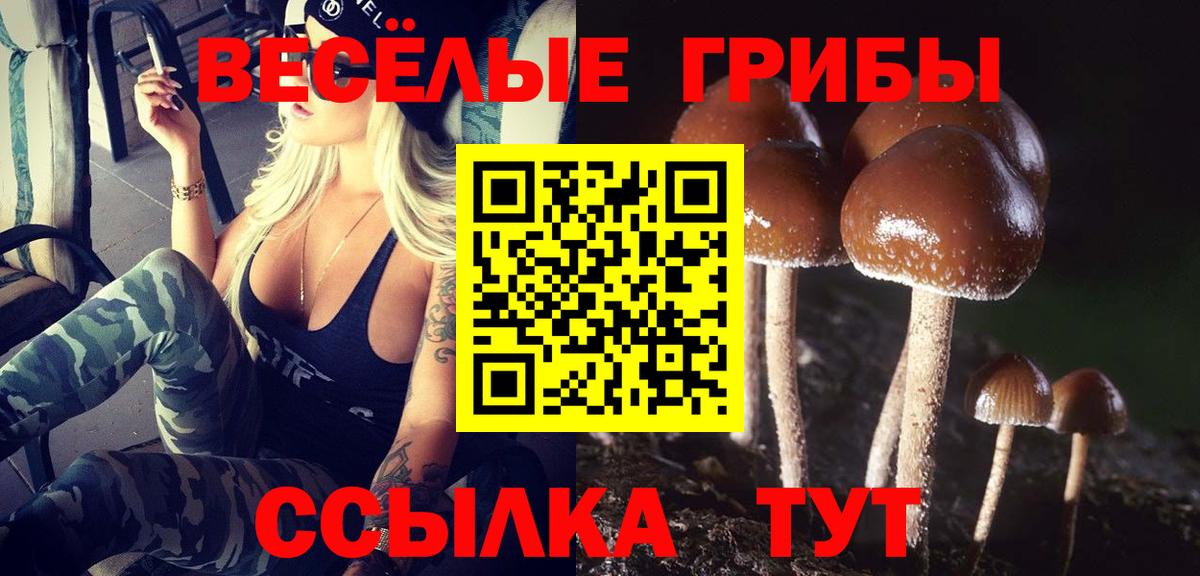 Каменка  Галлюциногенные грибы Psilocybine cubensis  Вход с VPN  дарнет шоп  Галлюциногенные грибы Magic Shrooms 