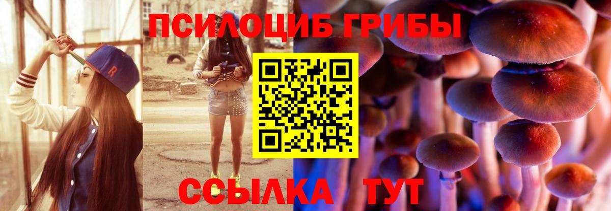 Псилоцибиновые грибы ЛСД Каменка